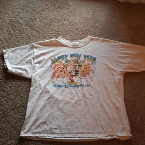 Walt Disney world co 1999 ty o 2000 new years eve